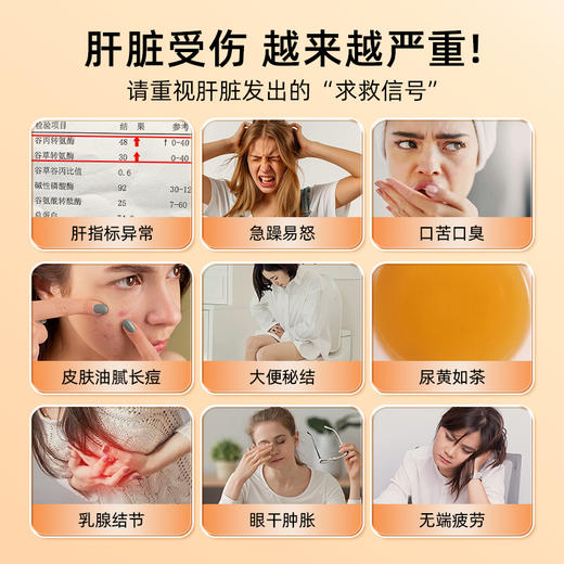 可齐益合安文古宁古如古原雨妙雨秀雨杰雨思乌梅护肝养肝胶囊片 商品图1