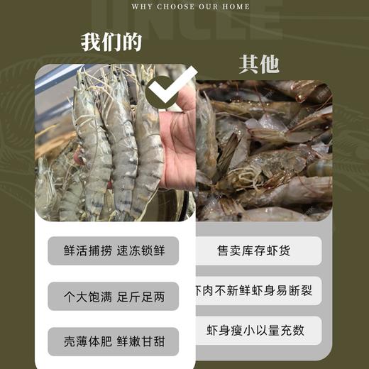 原装进口·生冻黑虎虾（约12-15只每斤）肉质紧致丰腴 Q弹饱满 0脂肪高蛋白 商品图7