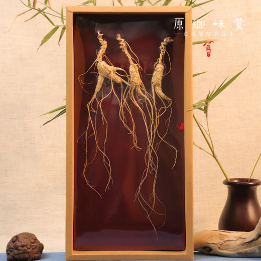 林下野山干参/干人参（成都仓库-顺丰快递）｜多种规格，来自通化集安，生产者：刘春显 商品图2