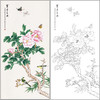 俞致贞花鸟牡丹工笔画白描底稿《富贵白头》临摹勾线高清打印稿ZZ45 商品缩略图0