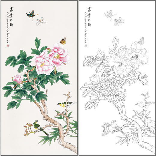 俞致贞花鸟牡丹工笔画白描底稿《富贵白头》临摹勾线高清打印稿ZZ45 商品图0