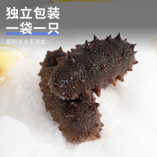 【不花心】精品鲜食海参热销装丨辽刺参高端礼盒装 商品图3