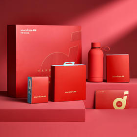 soundcore声阔新春运动礼盒 飞跃线AeroFit Pro+收纳包+运动毛巾+运动水杯  A3871