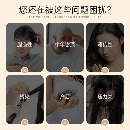 西夫康桂宁竹青素 桂宁竹官方正品旗舰店桂宁竹青素正品桂宁竹青. 商品图1