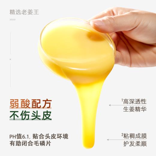 官方授权【香港琴叶Q&Y 生姜洗发水】防脱发固发增发 控油 蓬松 去屑 止痒  老人小孩孕妇可用 商品图3