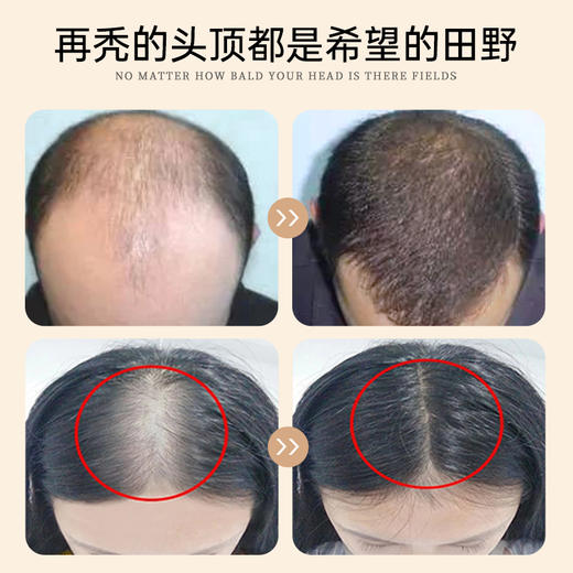 西夫康桂宁竹青素 桂宁竹官方正品旗舰店桂宁竹青素正品桂宁竹青. 商品图4