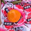 丰收果园～耙耙柑【净重约8斤】 商品缩略图4