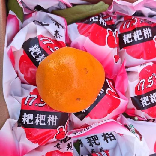 丰收果园～耙耙柑【净重约8斤】 商品图4