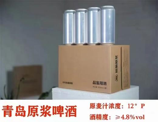 青岛品鉴级精酿啤酒  500*12罐 商品图0