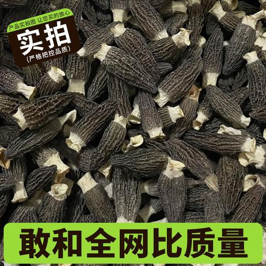 【春夏季滋补】在菌屋 云南高山短柄羊肚菌干货50g/袋 4-6cm/6-8cm/8-12cm 菌香馥郁浓厚 菌身脉络清晰 口感爽滑脆嫩 商品图5