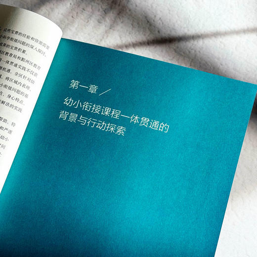 幼小衔接课程一体贯通的区域实践 迈向高质量的幼小衔接丛书  商品图7