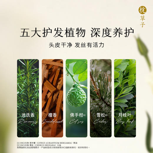 [檀木佛手]头皮油30ml 商品图2