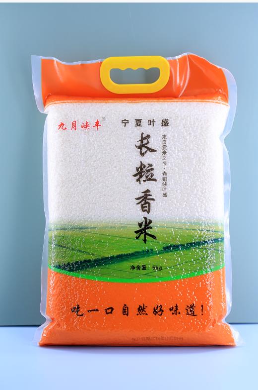 叶盛大米  5KG 商品图0