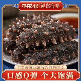 【不花心】精品鲜食海参热销装丨辽刺参高端礼盒装