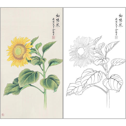 俞致贞花鸟向日葵工笔画白描底稿《向阳花》临摹勾线高清打印稿ZZ52 商品图0