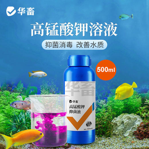 高锰酸钾鱼用消毒液鱼缸消菌药净水剂植物乌龟养殖场高猛酸钾溶液 商品图0