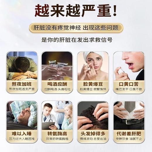 洛学堂那纤乐素护肝片 谷一泰护好肝片 水飞蓟籽油片 熬夜应酬 商品图1