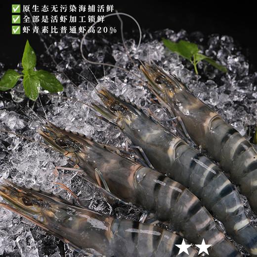 原装进口·生冻黑虎虾（约12-15只每斤）肉质紧致丰腴 Q弹饱满 0脂肪高蛋白 商品图3