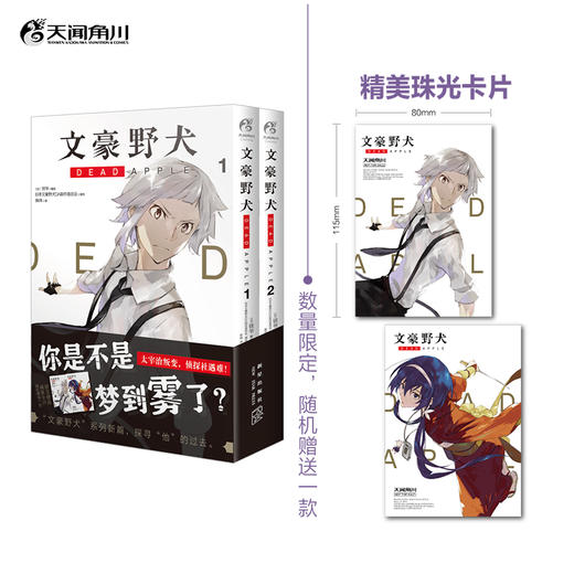 【限量豪华特典：双黑铜闪徽章一套】文豪野犬 DEAD APPLE.4漫画最终卷（随书赠品：双黑光栅卡1张） 商品图12