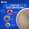 华畜24天16斤 澳洲第一催乳原料 奶水横流发情快 催乳奶粉母猪母牛羊均可使用 商品缩略图1