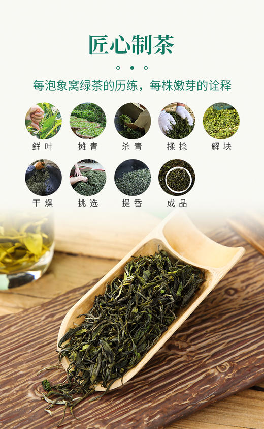 象窝茶2026年新茶高山有机茶园绿茶新品云山绿花香【限时限量买1送1】到手2罐共250g 商品图8