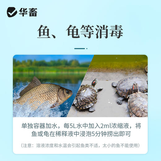 高锰酸钾鱼用消毒液鱼缸消菌药净水剂植物乌龟养殖场高猛酸钾溶液 商品图3