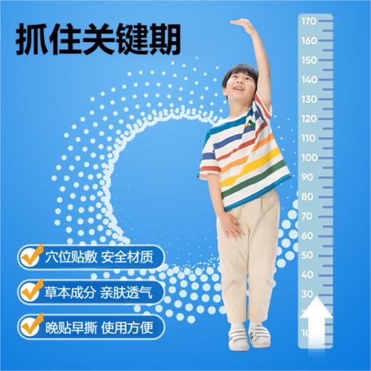 鹊优转筋贴【三盒装】 鹊优堂续高贴 转筋续高贴 鹊优堂续高贴 商品图3