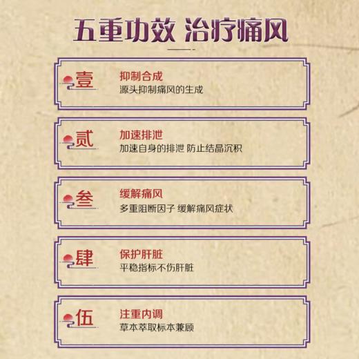 舒风逸康宝舒风康逸宝痛风结晶关节肿痛红肿僵硬尿酸高 商品图3