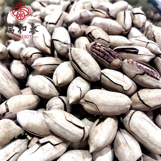 散500g 大尖碧根果（爆好剥）  年味炒货 商品图2