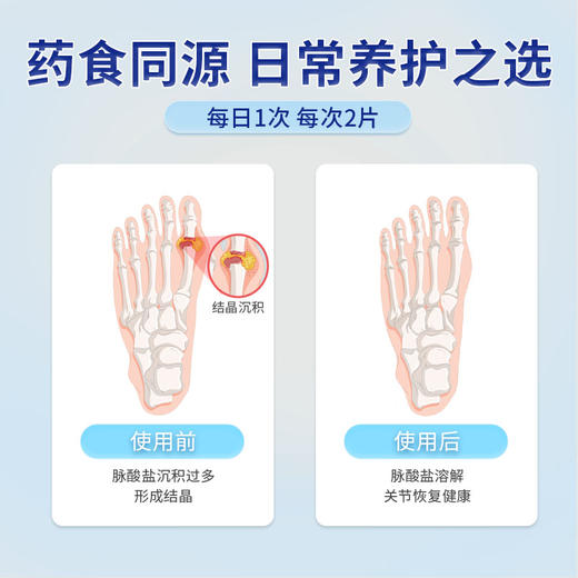 念顺堂菊英芹菜籽片平衡酸值缓解关节疼痛降低关节好平衡嘌呤 商品图2