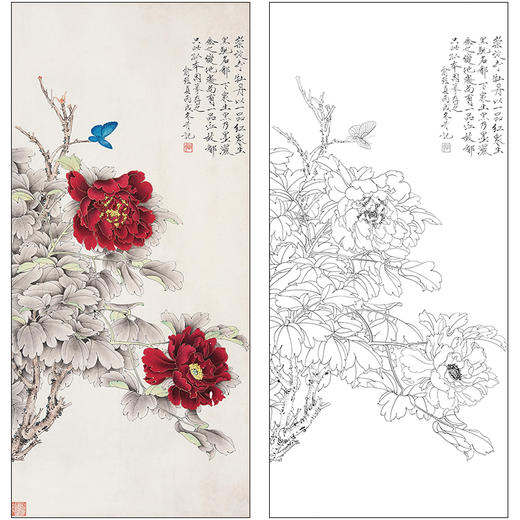 俞致贞花鸟工笔画白描底稿《牡丹》临摹勾线高清打印稿ZZ55 商品图0