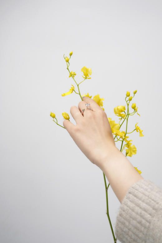 「吉光片羽」钻石白金戒指 商品图2