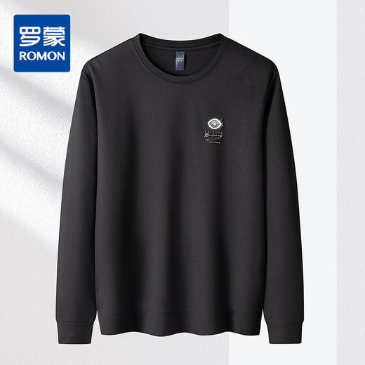罗蒙春秋男士长袖卫衣百搭商务男士卫衣通勤休闲舒适男卫衣长袖上衣男 商品图0