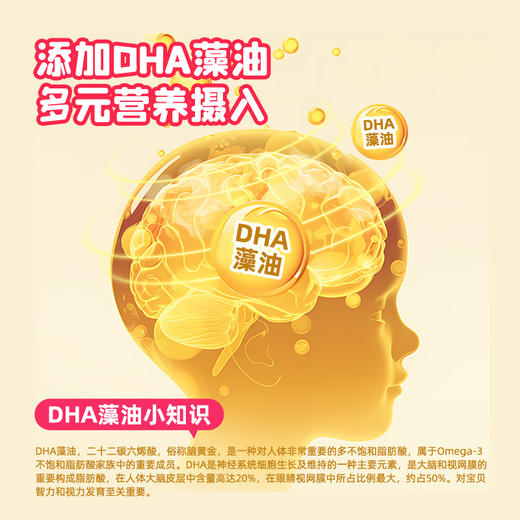 DHA水果能量棒系列 商品图4