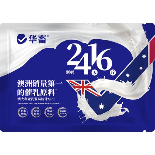 华畜24天16斤 澳洲第一催乳原料 奶水横流发情快 催乳奶粉母猪母牛羊均可使用 商品图5