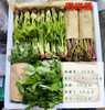 【发货+10元】丨团购·年货节·东北山野菜之母【活体刺嫩芽盆栽礼箱】3斤左右/件（268元）丨山野菜组合6斤左右298元/套丨预计1月25日起开始陆续发货 商品缩略图1