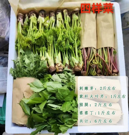 【发货+10元】丨团购·年货节·东北山野菜之母【活体刺嫩芽盆栽礼箱】3斤左右/件（268元）丨山野菜组合6斤左右298元/套丨预计1月25日起开始陆续发货 商品图1