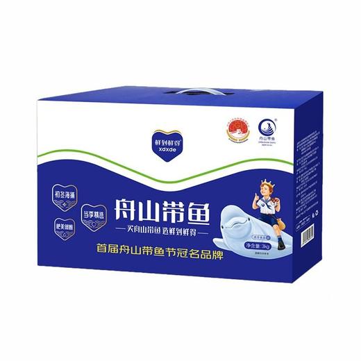 鲜到鲜得3kg舟山带鱼礼盒 商品图0