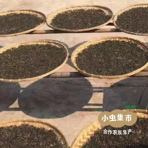 云南大叶种古树茶（红茶/白茶/普洱生茶）| 合作农友生产，来自云南，生产方：如茶茶坊 *【公平贸易农人定价】 商品图5