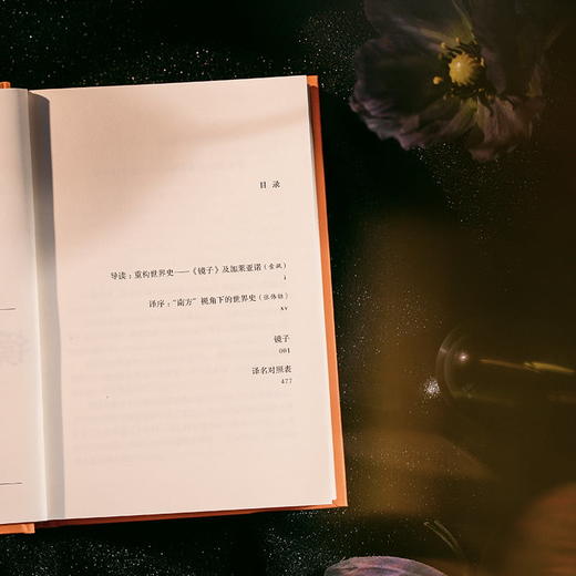 镜子：一部被遮蔽的世界史 商品图11