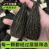 【春夏季滋补】在菌屋 云南高山短柄羊肚菌干货50g/袋 4-6cm/6-8cm/8-12cm 菌香馥郁浓厚 菌身脉络清晰 口感爽滑脆嫩 商品缩略图3