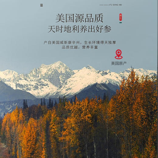 【分仓直发包邮】福东海西洋参300克/盒（25克x12罐）1.2-1.4厚片（大） 商品图5