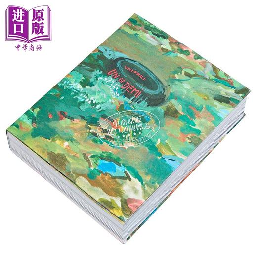 【中商原版】【法文版】法漫 一个半  Un et demi 法文原版 Valfret 法文绘本与绘本小说 商品图1