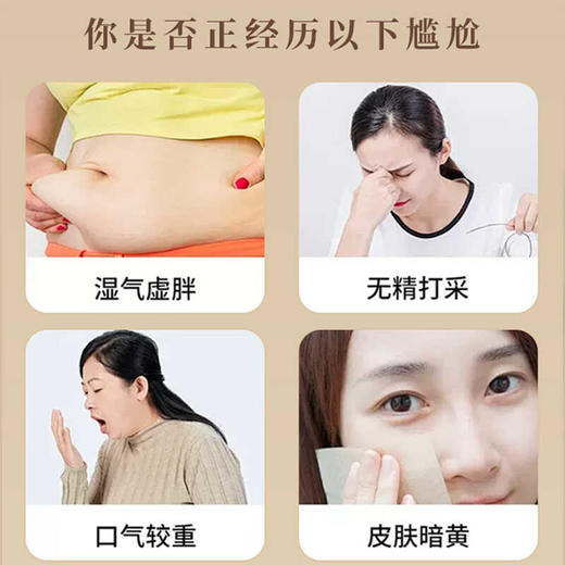 九崇桂滋健元舒健脾舌苔厚腻健康身体传统用料 商品图2