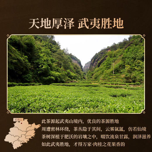 正山堂岩语 万家肉桂茶叶礼盒装 特级花果香武夷岩茶乌龙茶送礼长辈99g 商品图3