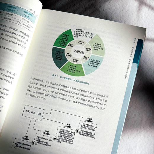 幼小衔接课程一体贯通的区域实践 迈向高质量的幼小衔接丛书  商品图8