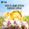 【社群专享】华畜酵皇1kg提高免疫力提高肠道消化 商品缩略图6