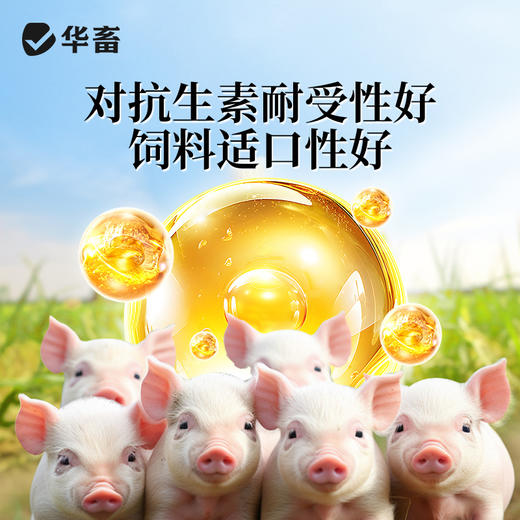 【社群专享】华畜酵皇1kg提高免疫力提高肠道消化 商品图6