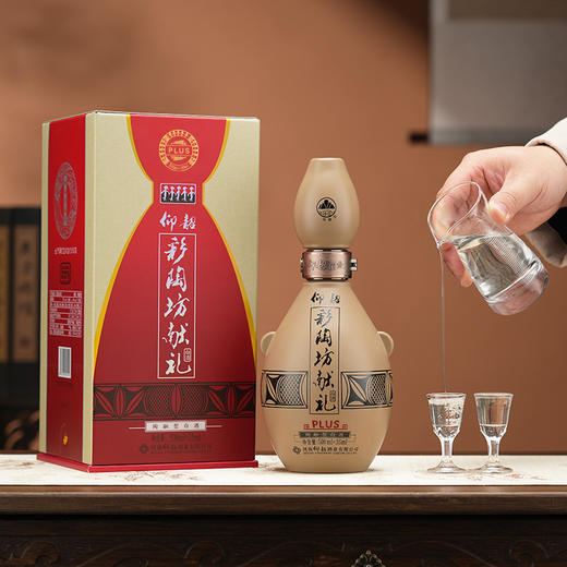 仰韶彩陶坊 加量装带酒头献礼 尊享plus版 46度500ml+70度35ml 礼盒版白酒  九粮四陶 新老版本随机发货 商品图1