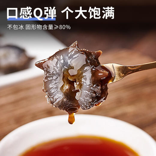【不花心】精品鲜食海参热销装丨辽刺参高端礼盒装 商品图2